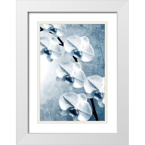Climbing Orchids 2 White Modern Wood Framed Art Print with Double Matting by Kimberly, Allen