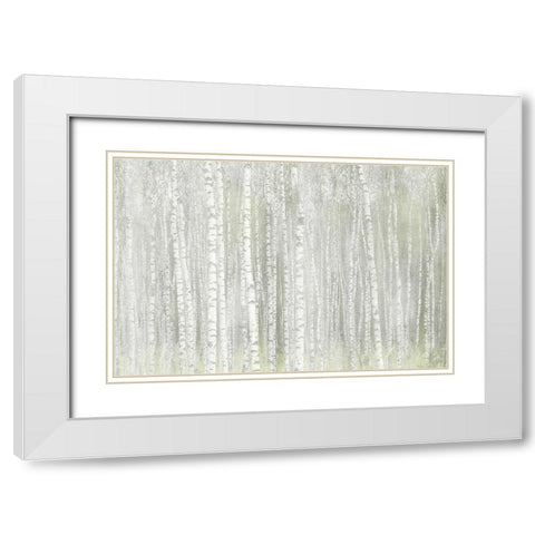 Into the Birches White Modern Wood Framed Art Print with Double Matting by Kimberly, Allen