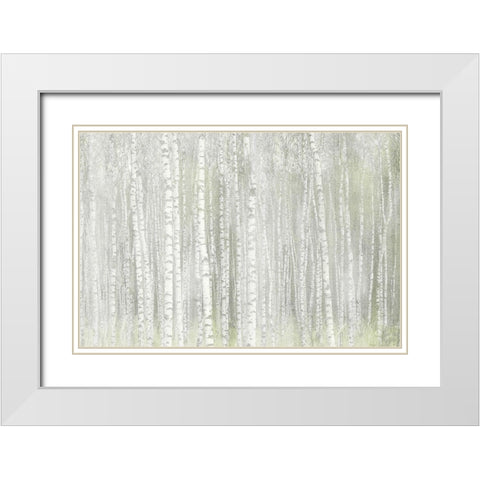 Into the Birches White Modern Wood Framed Art Print with Double Matting by Kimberly, Allen