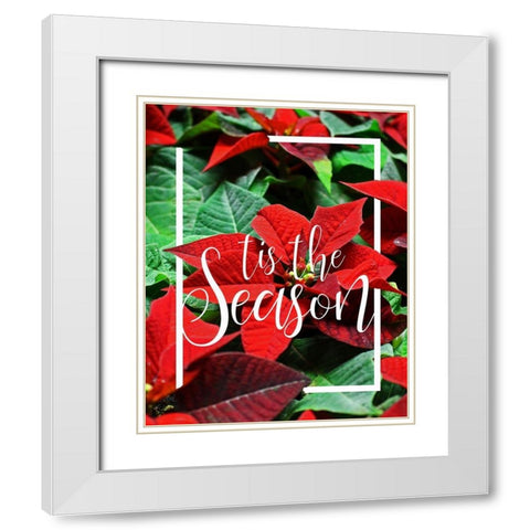 Tis the Season Foliage White Modern Wood Framed Art Print with Double Matting by Kimberly, Allen