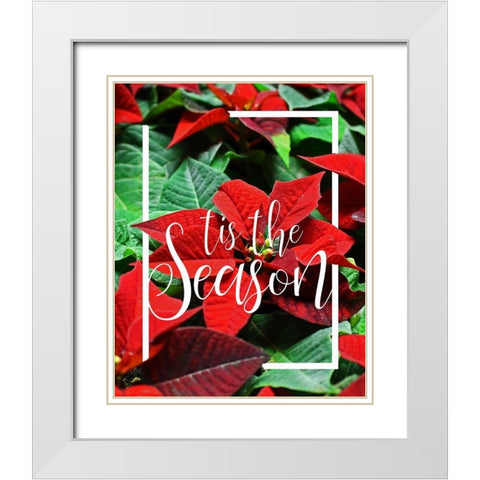 Tis the Season Foliage White Modern Wood Framed Art Print with Double Matting by Kimberly, Allen