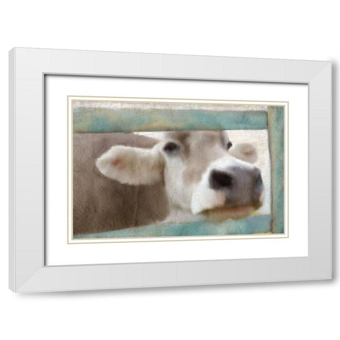 Out of the Fence White Modern Wood Framed Art Print with Double Matting by Kimberly, Allen