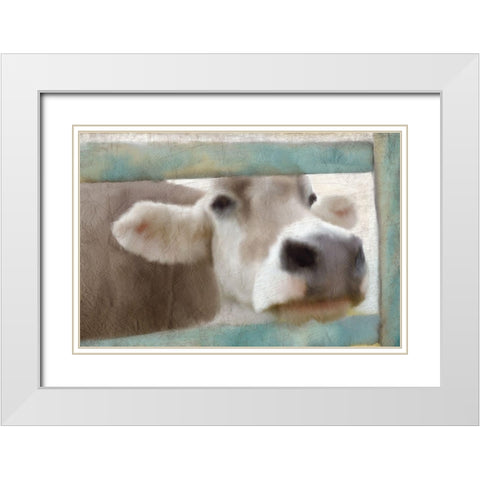 Out of the Fence White Modern Wood Framed Art Print with Double Matting by Kimberly, Allen