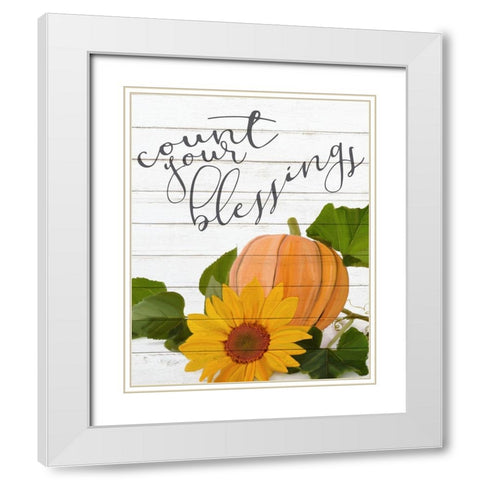 Count your Blessings White Modern Wood Framed Art Print with Double Matting by Kimberly, Allen