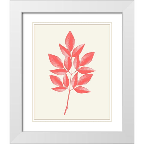 Coral Leaves 1 White Modern Wood Framed Art Print with Double Matting by Kimberly, Allen