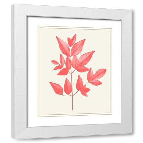 Coral Leaves 2 White Modern Wood Framed Art Print with Double Matting by Kimberly, Allen