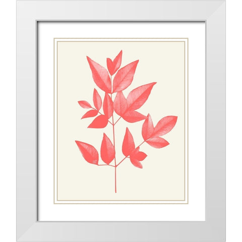 Coral Leaves 2 White Modern Wood Framed Art Print with Double Matting by Kimberly, Allen