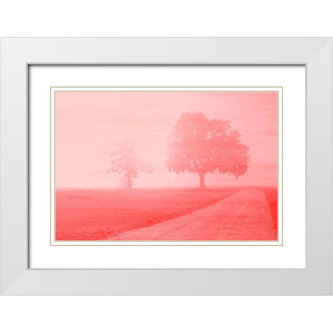 Dawn White Modern Wood Framed Art Print with Double Matting by Kimberly, Allen