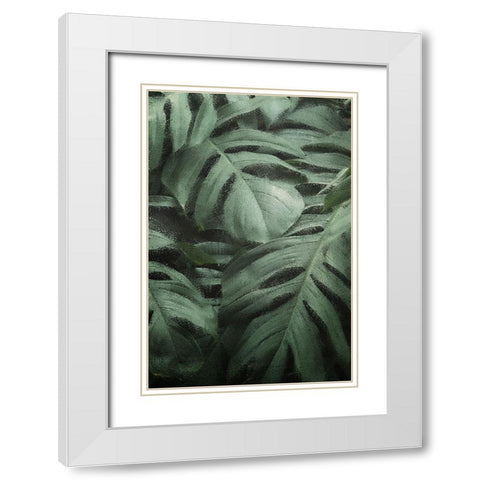 Greenery 2 White Modern Wood Framed Art Print with Double Matting by Kimberly, Allen