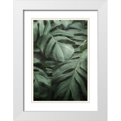 Greenery 2 White Modern Wood Framed Art Print with Double Matting by Kimberly, Allen