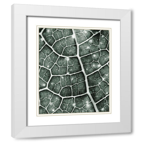 Eco 1 White Modern Wood Framed Art Print with Double Matting by Kimberly, Allen