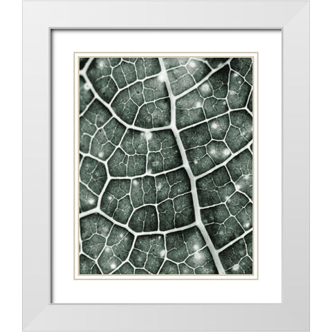 Eco 1 White Modern Wood Framed Art Print with Double Matting by Kimberly, Allen