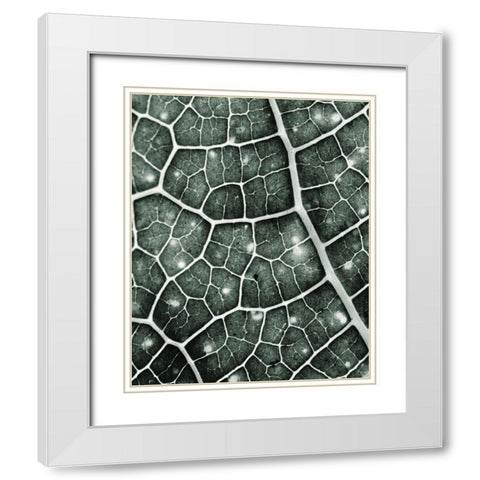 Eco 2 White Modern Wood Framed Art Print with Double Matting by Kimberly, Allen