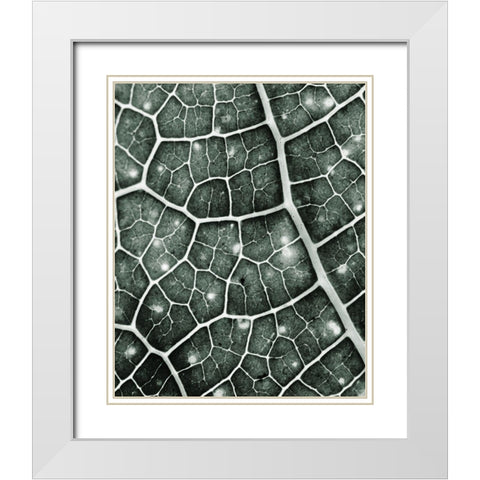 Eco 2 White Modern Wood Framed Art Print with Double Matting by Kimberly, Allen