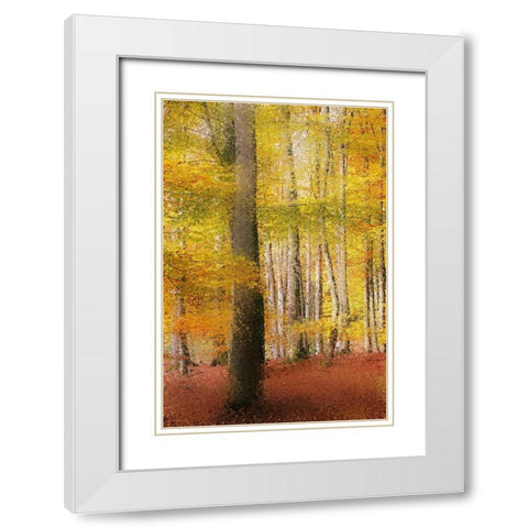 Golden Days White Modern Wood Framed Art Print with Double Matting by Kimberly, Allen