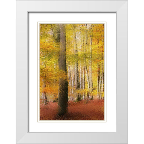 Golden Days White Modern Wood Framed Art Print with Double Matting by Kimberly, Allen