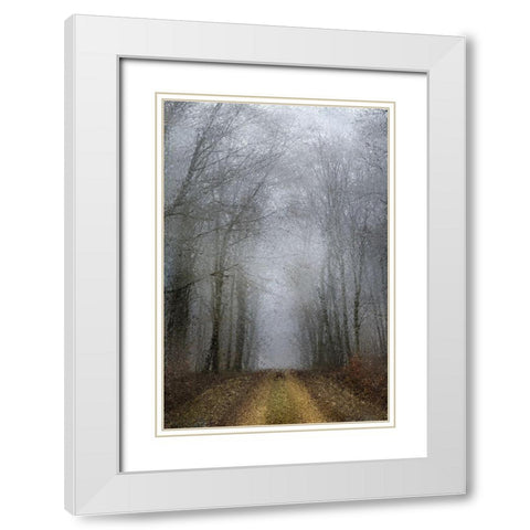 Road of Mysteries White Modern Wood Framed Art Print with Double Matting by Kimberly, Allen