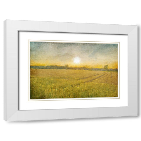 Already to Harvest White Modern Wood Framed Art Print with Double Matting by Kimberly, Allen