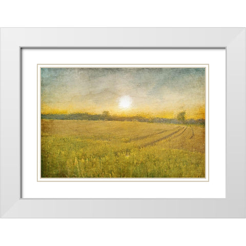 Already to Harvest White Modern Wood Framed Art Print with Double Matting by Kimberly, Allen