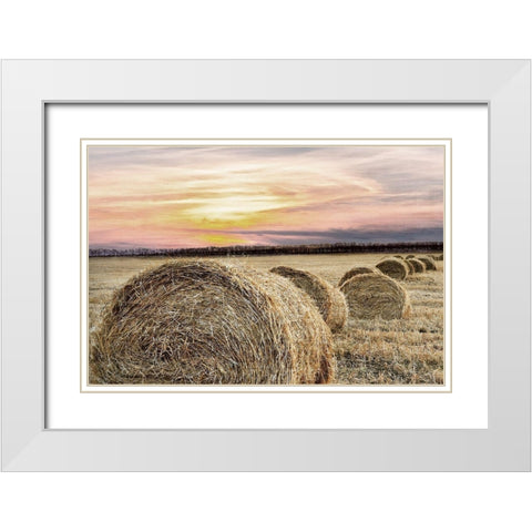 Farmers Harvest White Modern Wood Framed Art Print with Double Matting by Kimberly, Allen