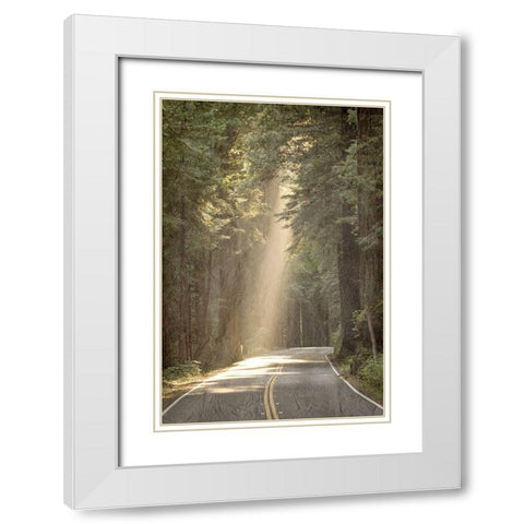 Lets get Lost Road White Modern Wood Framed Art Print with Double Matting by Kimberly, Allen