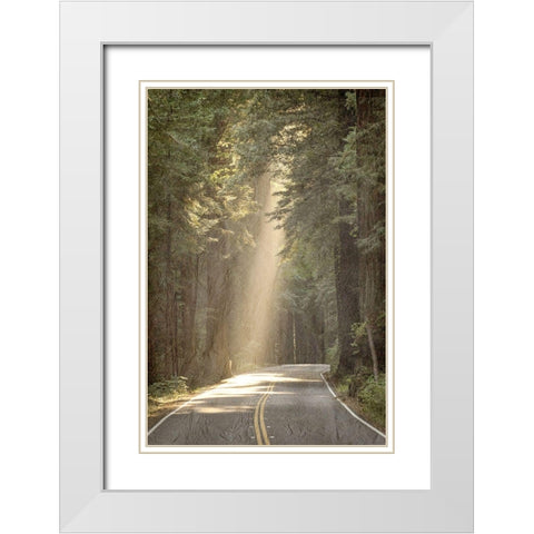Lets get Lost Road White Modern Wood Framed Art Print with Double Matting by Kimberly, Allen