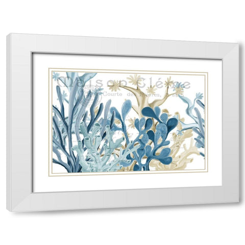 Coastal Coral 1 White Modern Wood Framed Art Print with Double Matting by Kimberly, Allen