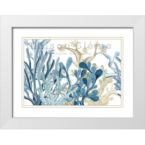 Coastal Coral 1 White Modern Wood Framed Art Print with Double Matting by Kimberly, Allen