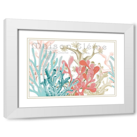 Coral Coastal 1 White Modern Wood Framed Art Print with Double Matting by Kimberly, Allen