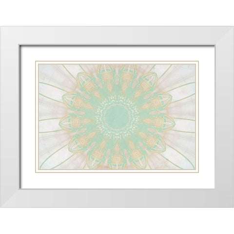 Mint Medallion White Modern Wood Framed Art Print with Double Matting by Kimberly, Allen