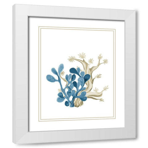 Coastal Coral 3 White Modern Wood Framed Art Print with Double Matting by Kimberly, Allen