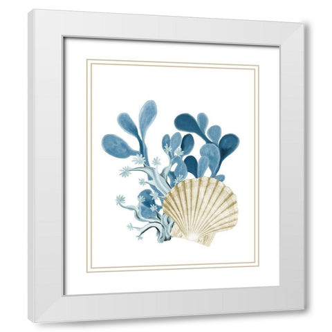 Coastal Coral 5 White Modern Wood Framed Art Print with Double Matting by Kimberly, Allen