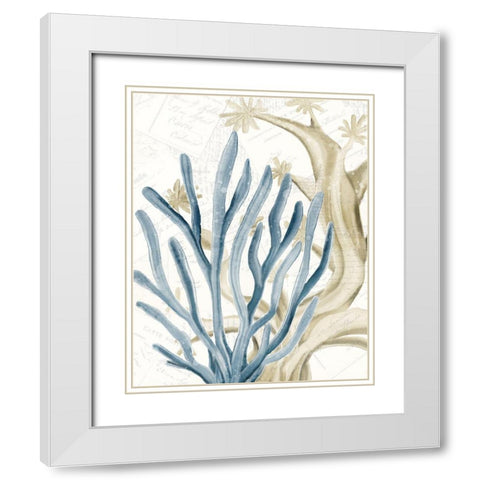 Coral Square 1 White Modern Wood Framed Art Print with Double Matting by Kimberly, Allen