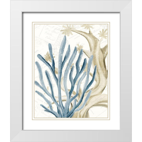 Coral Square 1 White Modern Wood Framed Art Print with Double Matting by Kimberly, Allen