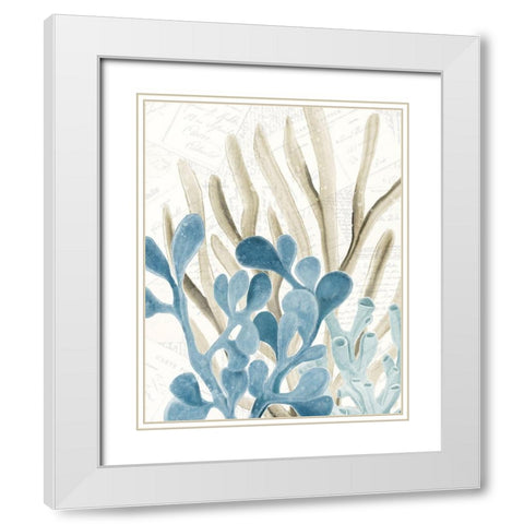 Coral Square 3 White Modern Wood Framed Art Print with Double Matting by Kimberly, Allen