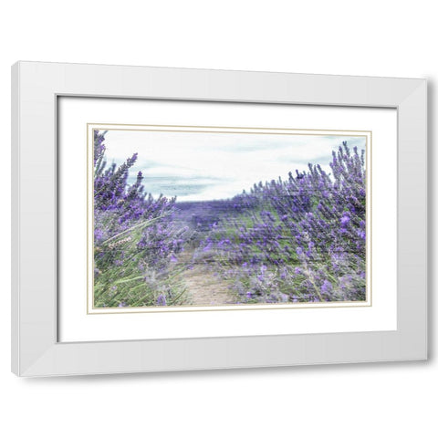 Lavender Field White Modern Wood Framed Art Print with Double Matting by Allen, Kimberly