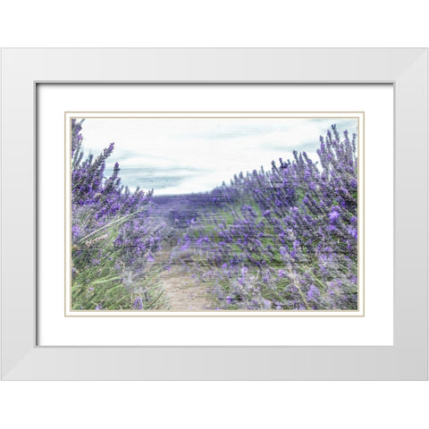 Lavender Field White Modern Wood Framed Art Print with Double Matting by Allen, Kimberly