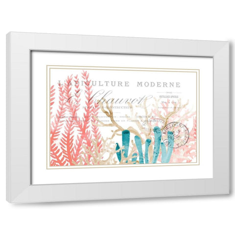 Coral Cove 1 White Modern Wood Framed Art Print with Double Matting by Kimberly, Allen