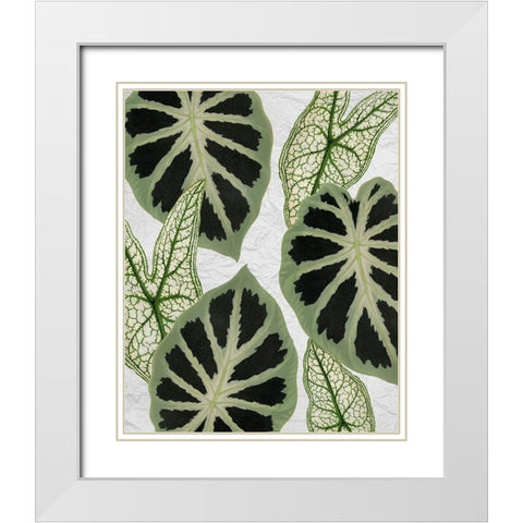 My Greens 2 White Modern Wood Framed Art Print with Double Matting by Kimberly, Allen