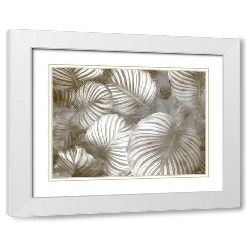 Beige Palms White Modern Wood Framed Art Print with Double Matting by Kimberly, Allen