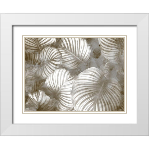 Beige Palms White Modern Wood Framed Art Print with Double Matting by Kimberly, Allen