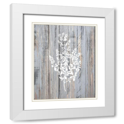 Botanical Wood 2 White Modern Wood Framed Art Print with Double Matting by Kimberly, Allen