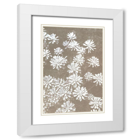 Falling Blooms White Modern Wood Framed Art Print with Double Matting by Kimberly, Allen
