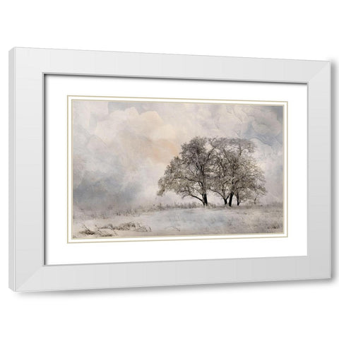 Winter Frost 2 White Modern Wood Framed Art Print with Double Matting by Allen, Kimberly