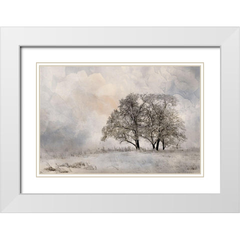 Winter Frost 2 White Modern Wood Framed Art Print with Double Matting by Allen, Kimberly