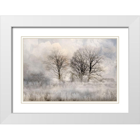 Winter Frost 3 White Modern Wood Framed Art Print with Double Matting by Allen, Kimberly