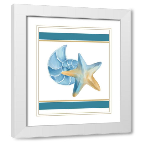 Seashore Shells 2 White Modern Wood Framed Art Print with Double Matting by Kimberly, Allen