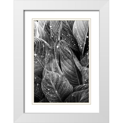 Midnight Palm Leaves 1 bw White Modern Wood Framed Art Print with Double Matting by Allen, Kimberly