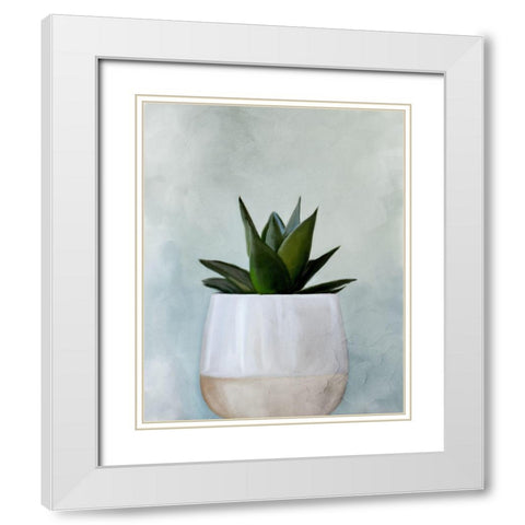 Potted Succulent 2 White Modern Wood Framed Art Print with Double Matting by Allen, Kimberly