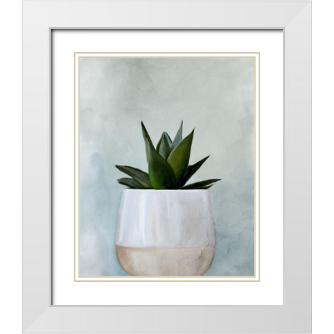 Potted Succulent 2 White Modern Wood Framed Art Print with Double Matting by Allen, Kimberly